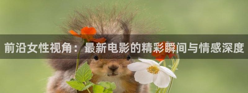 电影天堂在线观看