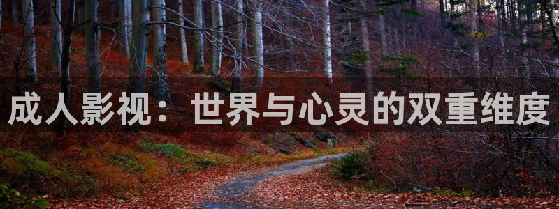 新视觉天堂飘花影院：成人影视：世界与心灵的双重维度