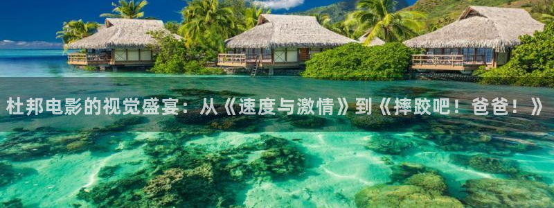 神马天堂在线影院：杜邦电影的视觉盛宴：从《速度与激情》到《摔跤吧！爸爸！》