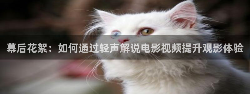 光棍影院天堂网在线观看：幕后花絮：如何通过轻声解说电影视频提升观影体验