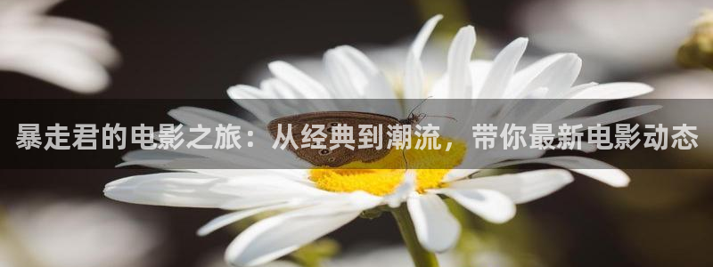 电影天堂伦理401：暴走君的电影之旅：从经典到潮流，带你最新电影动态