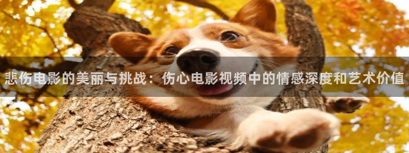 慧漫天堂