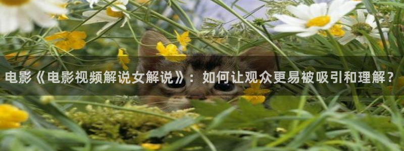 电影天堂919yy影视：电影《电影视频解说女解说》：如何让观众更易被吸引和理解？