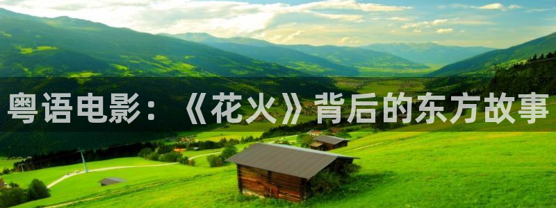 天堂影院免费观看电影电视剧：粤语电影：《花火》背后的东方故事
