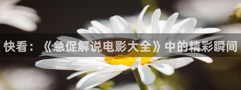 午夜天堂在线观看：快看：《急促解说电影大全》中的精彩瞬间